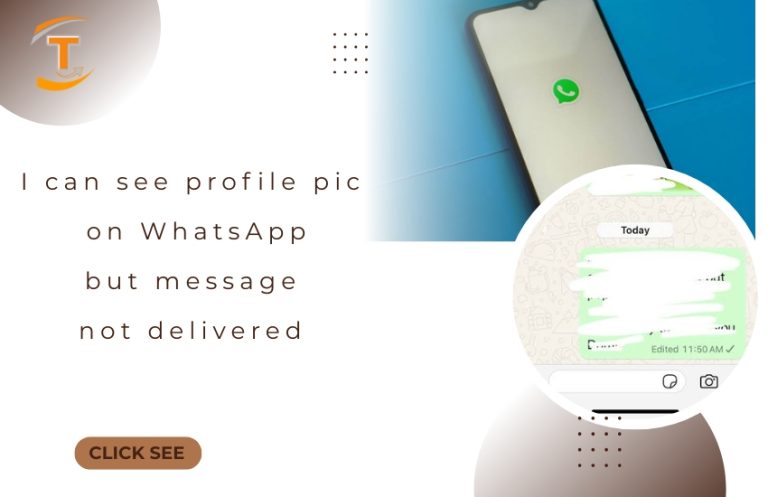Why I can see profile pic on WhatsApp but message not delivered