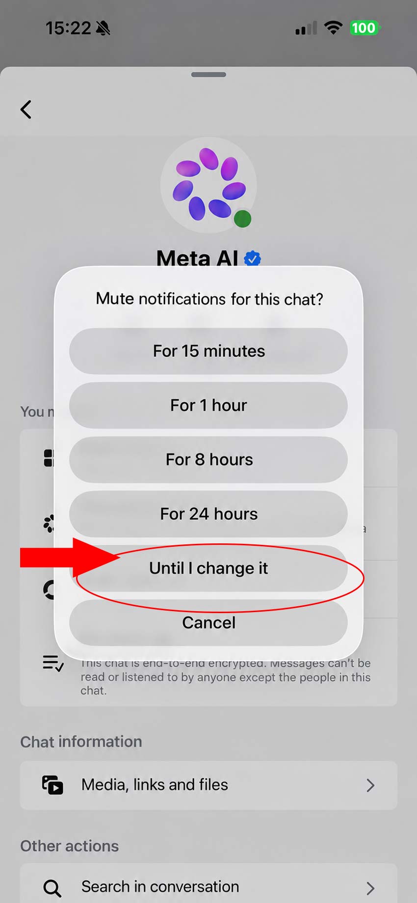 How to turn off meta ai on messenger